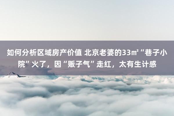 如何分析区域房产价值 北京老婆的33㎡“巷子小院”火了，因“贩子气”走红，太有生计感