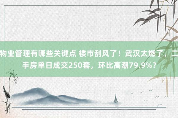 物业管理有哪些关键点 楼市刮风了！武汉太燃了，二手房单日成交250套，环比高潮79.9%？