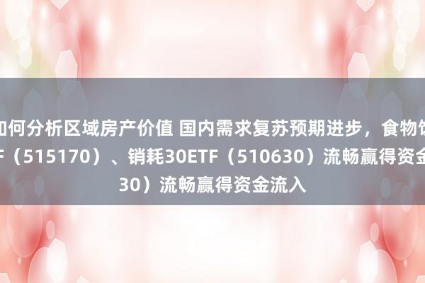 如何分析区域房产价值 国内需求复苏预期进步，食物饮料ETF（515170）、销耗30ETF（510630）流畅赢得资金流入