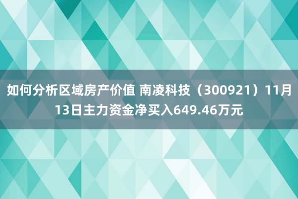 如何分析区域房产价值 南凌科技（300921）11月13日主力资金净买入649.46万元