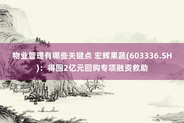 物业管理有哪些关键点 宏辉果蔬(603336.SH)：得回2亿元回购专项融资救助