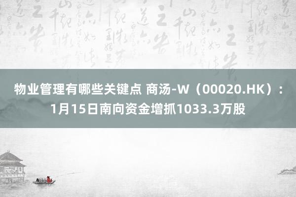 物业管理有哪些关键点 商汤-W（00020.HK）：1月15日南向资金增抓1033.3万股