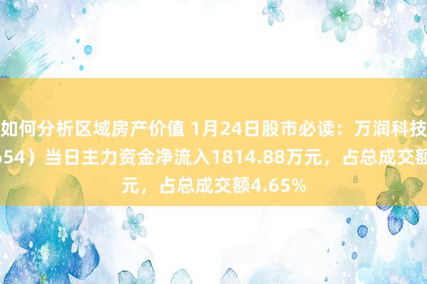 如何分析区域房产价值 1月24日股市必读：万润科技（002654）当日主力资金净流入1814.88万元，占总成交额4.65%