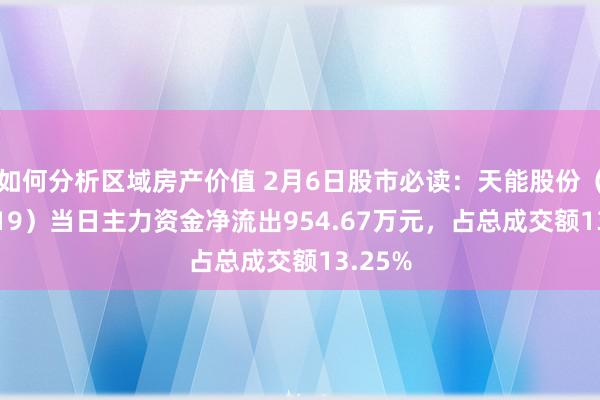 如何分析区域房产价值 2月6日股市必读：天能股份（688819）当日主力资金净流出954.67万元，占总成交额13.25%