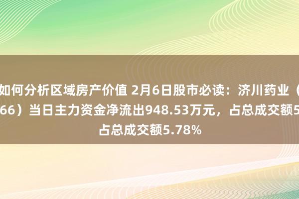 如何分析区域房产价值 2月6日股市必读：济川药业（600566）当日主力资金净流出948.53万元，占总成交额5.78%