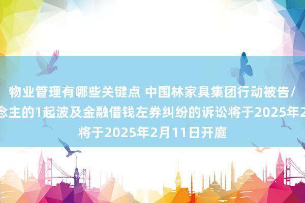 物业管理有哪些关键点 中国林家具集团行动被告/被上诉东说念主的1起波及金融借钱左券纠纷的诉讼将于2025年2月11日开庭